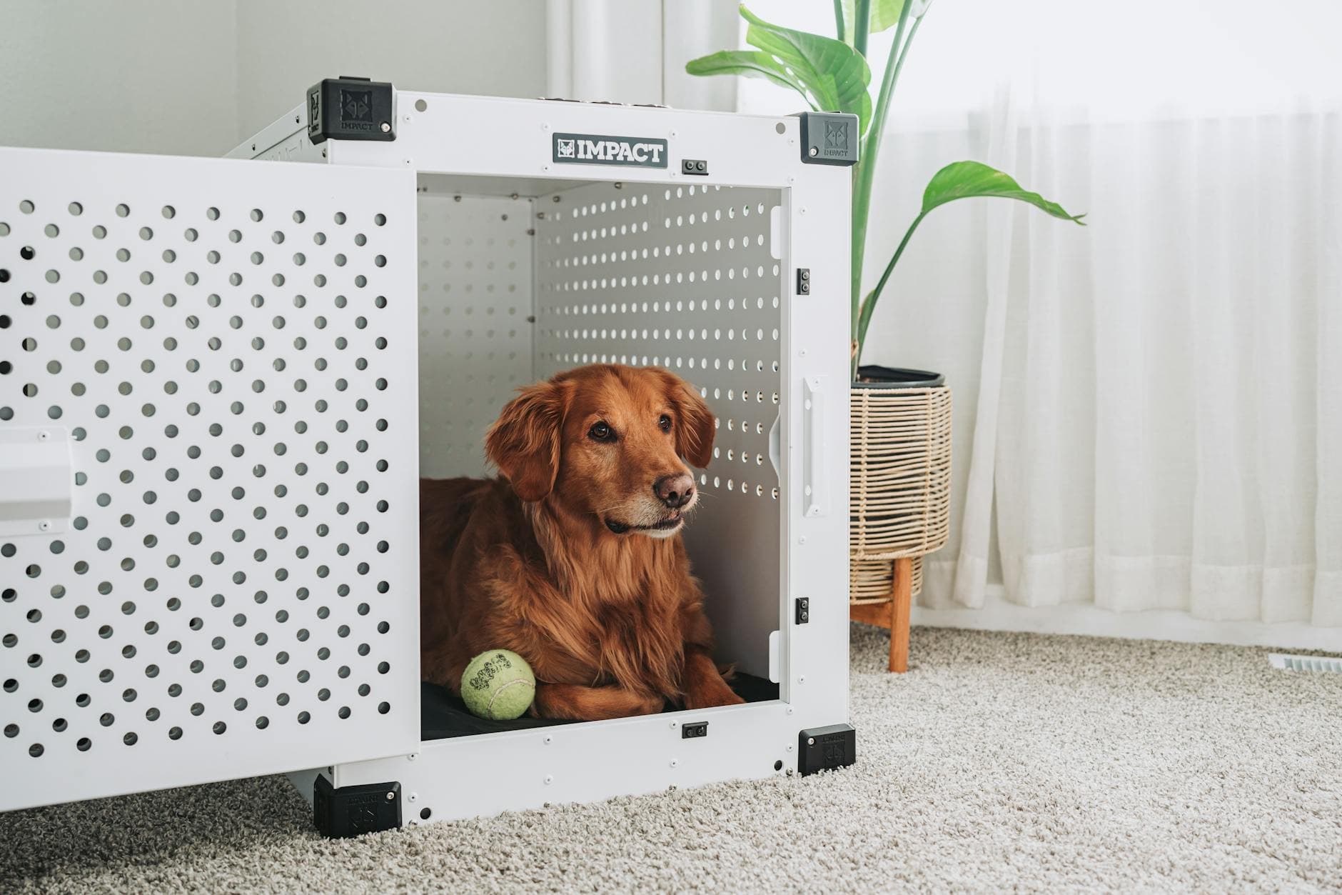 Pet beds and crates
