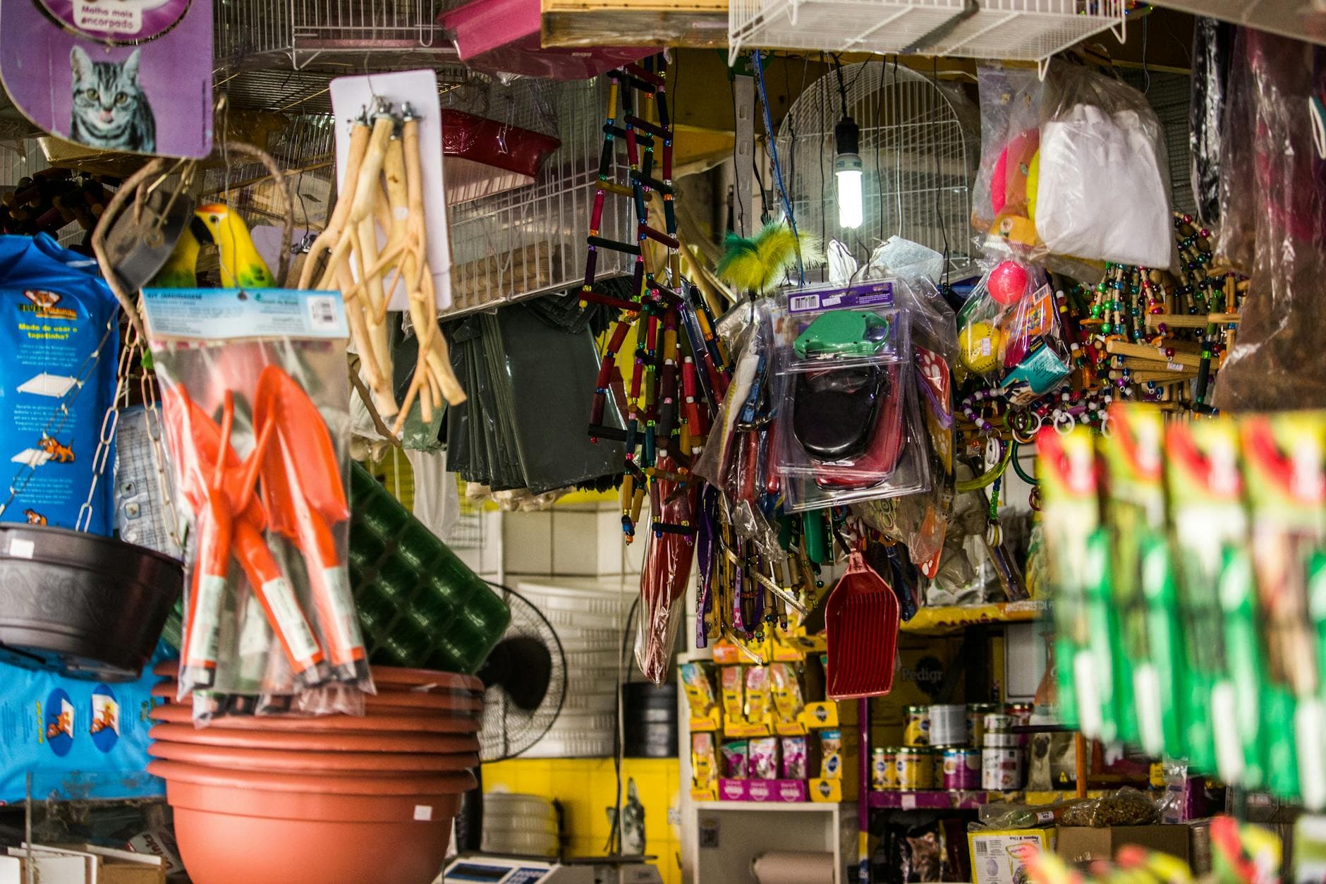 Pet supply store aisle with products